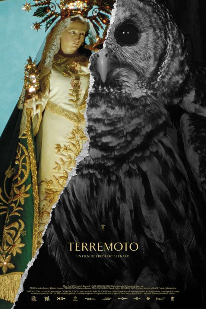 Affiche du film Terremoto